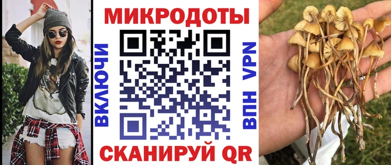 Псилоцибиновые грибы Psilocybe  Купить  Среднеколымск 